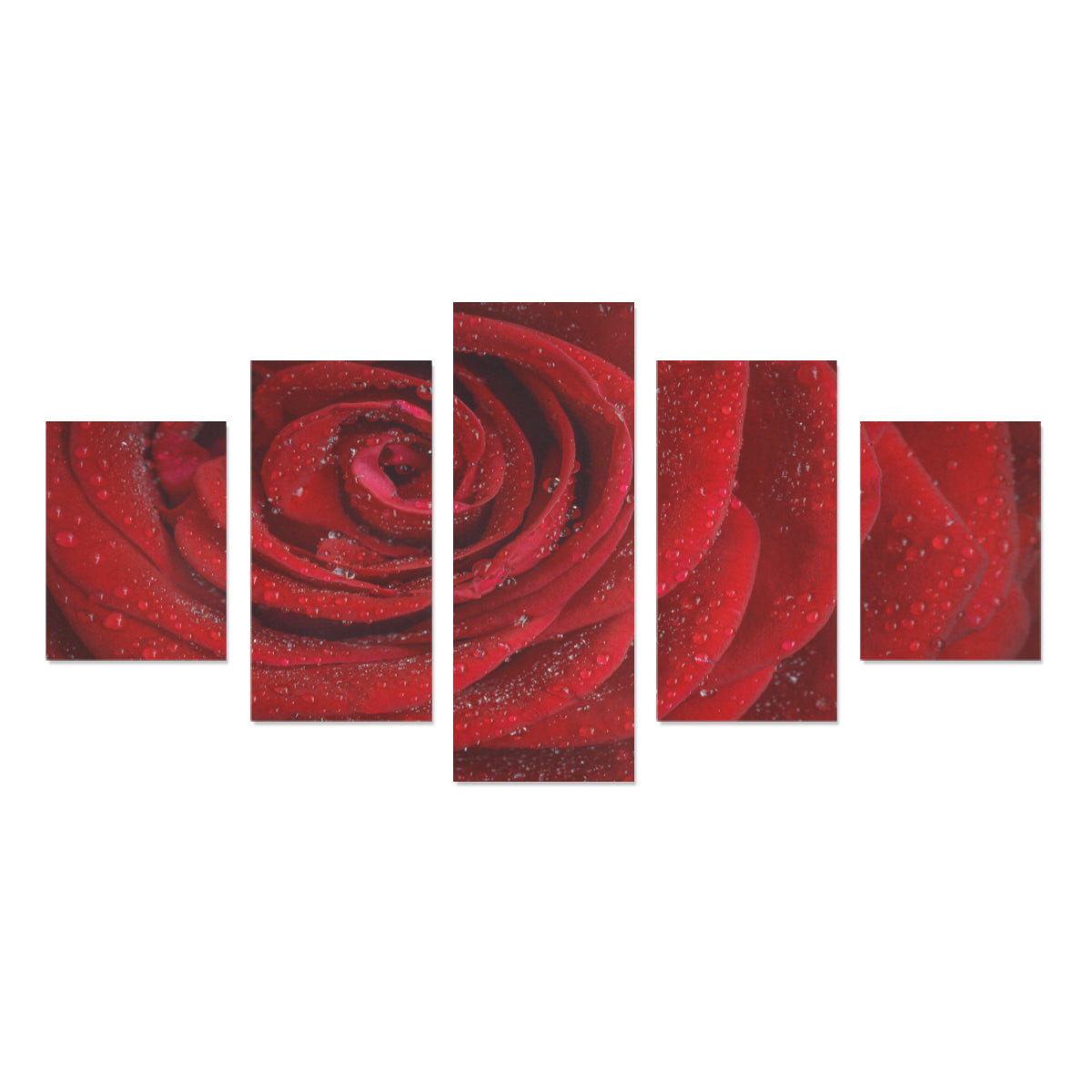 Framed Canvas Rosa Art Prints Set Z (5 Pieces) (Made In USA)