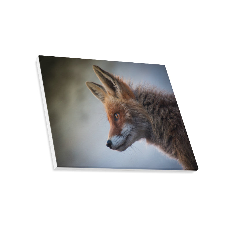 FOX PRODUCTS- Canvas Print 20"x16" The Fox Hunts