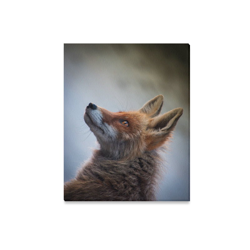 FOX PRODUCTS- Canvas Print 20"x16" The Fox Hunts