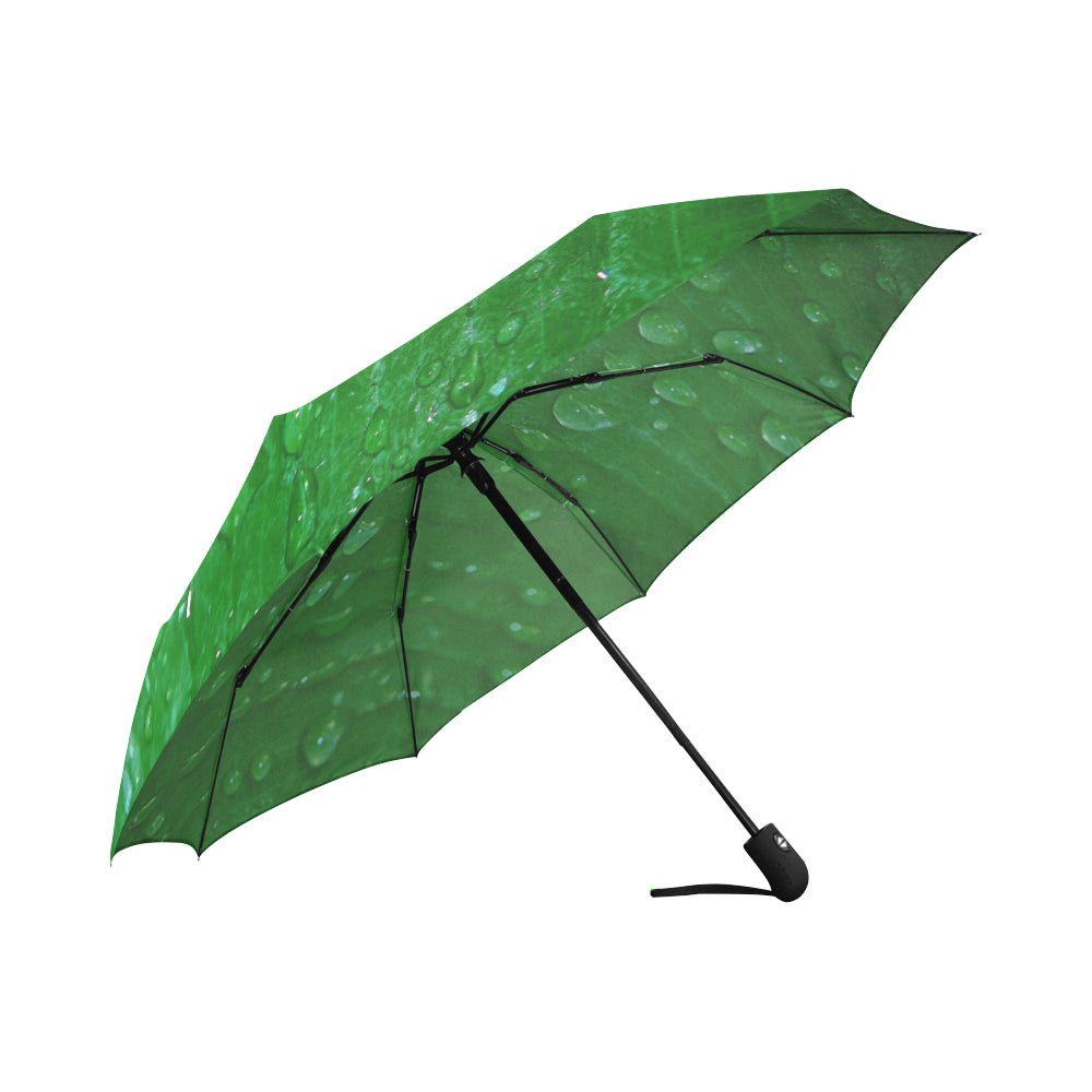 Anti-UV Wet Leaf Automatic Foldable Umbrella