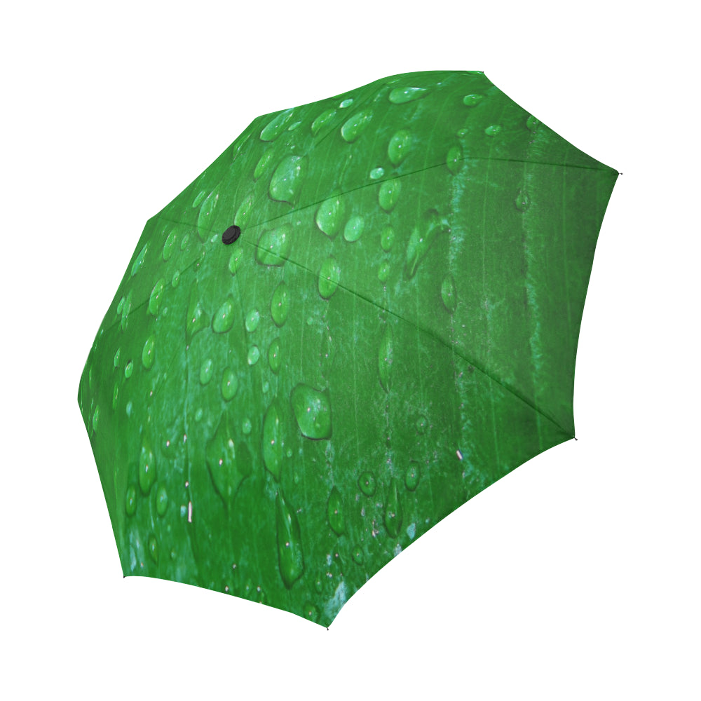 Anti-UV Wet Leaf Automatic Foldable Umbrella