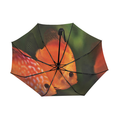 Anti-UV Automatic Discus Fish Umbrella (Underside Printing) (Model U06)