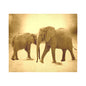 Wall Tapestry Elephants 60"x 51" (3 colors)