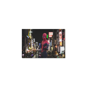 FOX PRODUCTS- Canvas Print Framed 12" x 8" Spider Man