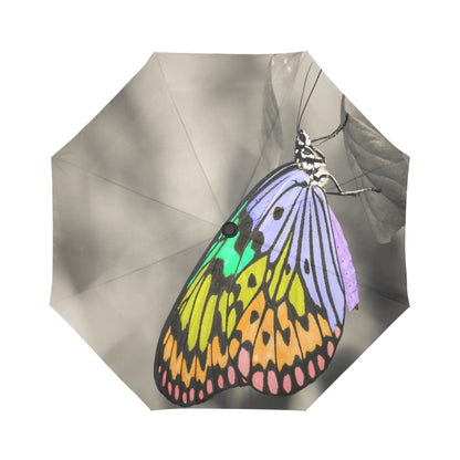 Anti-UV Color Gray Butterfly Automatic Umbrella