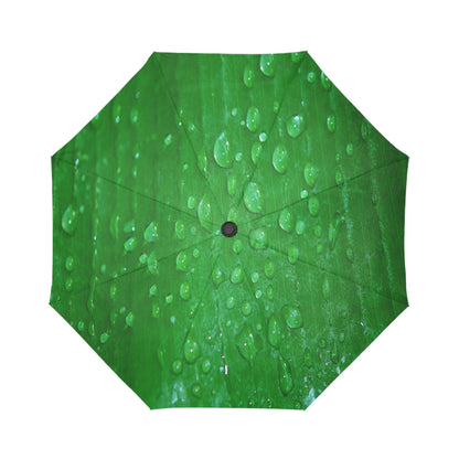 Anti-UV Wet Leaf Automatic Foldable Umbrella