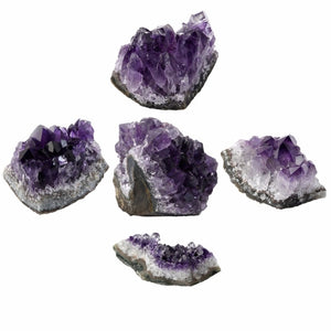 TUMBEELLUWA 1Lot (5Pc) Natural Amethyst Crystal Cluster Specimen,Druzy Geode Quartz Gem Stone